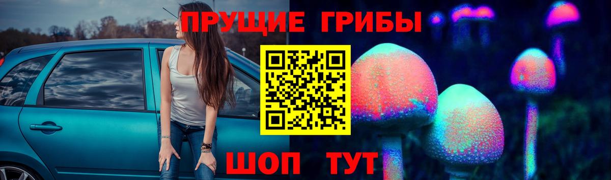 Галлюциногенные грибы прущие грибы  Вход с VPN  Санкт-Петербург 